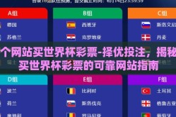 哪个网站买世界杯彩票-择优投注，揭秘购买世界杯彩票的可靠网站指南