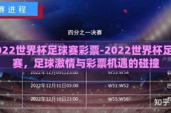 2022世界杯足球赛彩票-2022世界杯足球赛，足球激情与彩票机遇的碰撞