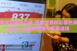 世界杯彩票分几种-揭秘世界杯彩票的多样种类，玩家的智慧与乐趣选择
