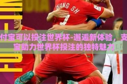 支付宝可以投注世界杯-邂逅新体验，支付宝助力世界杯投注的独特魅力