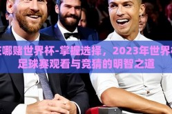 在哪赌世界杯-掌握选择，2023年世界杯足球赛观看与竞猜的明智之道