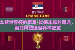 怎么赌世界杯的冠军-试探未来的奇遇，探索如何智选世界杯冠军