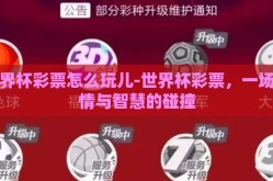 世界杯彩票怎么玩儿-世界杯彩票，一场激情与智慧的碰撞