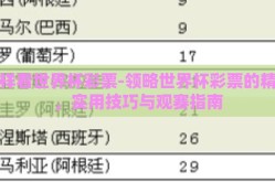 怎样看世界杯彩票-领略世界杯彩票的精彩，实用技巧与观赛指南