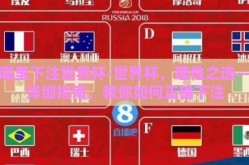 在哪里下注世界杯-世界杯，理性之选——详细指南，教你如何正确下注