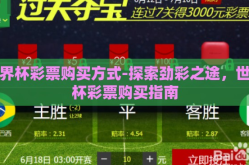 世界杯彩票购买方式-探索劲彩之途，世界杯彩票购买指南