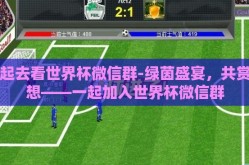 一起去看世界杯微信群-绿茵盛宴，共赏梦想——一起加入世界杯微信群