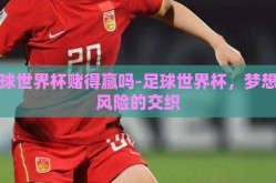 足球世界杯赌得赢吗-足球世界杯，梦想与风险的交织