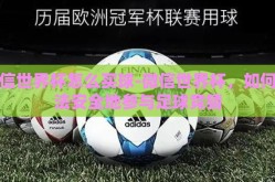 微信世界杯怎么买球-微信世界杯，如何合法安全地参与足球竞猜