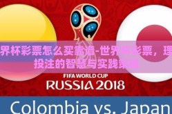 世界杯彩票怎么买靠谱-世界杯彩票，理性投注的智慧与实践策略