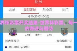 世界杯彩票开奖结果-世界杯彩票，每一刻的奇迹与期待