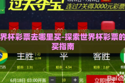 世界杯彩票去哪里买-探索世界杯彩票的购买指南