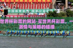 买世界杯彩票的网站-买世界杯彩票，一场激情与策略的碰撞