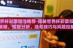世界杯彩票投注推荐-揭秘世界杯彩票投注策略，情报分析、选号技巧与风险控制