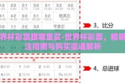 世界杯彩票跟哪里买-世界杯彩票，精明投注指南与购买渠道解析