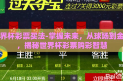 世界杯彩票买法-掌握未来，从球场到金库，揭秘世界杯彩票购彩智慧