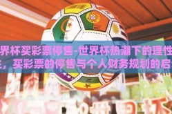 世界杯买彩票停售-世界杯热潮下的理性投注，买彩票的停售与个人财务规划的启示