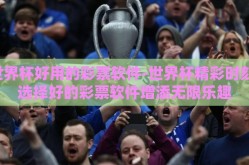 世界杯好用的彩票软件-世界杯精彩时刻，选择好的彩票软件增添无限乐趣