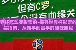 世界杯怎么买彩票的-探寻世界杯彩票的购买指南，从新手到高手的趣味旅程
