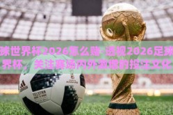 足球世界杯2026怎么赌-透视2026足球世界杯，关注赛场内外激增的投注文化