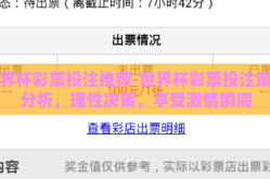 世界杯彩票投注推荐-世界杯彩票投注策略分析，理性决策，享受激情瞬间