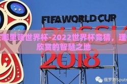 在哪里赌世界杯-2022世界杯竞猜，理性欣赏的智慧之地