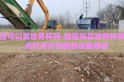 微信可以买世界杯吗-微信购买世界杯机会，点对点开创新的观赛体验