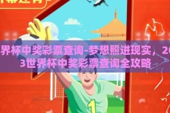 世界杯中奖彩票查询-梦想照进现实，2023世界杯中奖彩票查询全攻略
