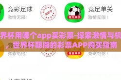 世界杯用哪个app买彩票-探索激情与机遇，世界杯期间的彩票APP购买指南