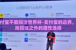 支付宝不能投注世界杯-支付宝的边界，游戏投注之外的理性选择
