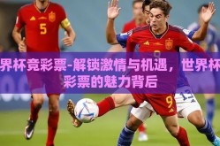 世界杯竞彩票-解锁激情与机遇，世界杯竞彩票的魅力背后