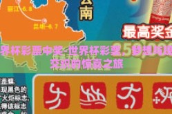 世界杯彩票中奖-世界杯彩票，梦想与现实交织的惊喜之旅