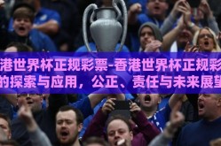 香港世界杯正规彩票-香港世界杯正规彩票的探索与应用，公正、责任与未来展望