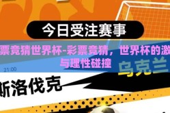 彩票竞猜世界杯-彩票竞猜，世界杯的激情与理性碰撞