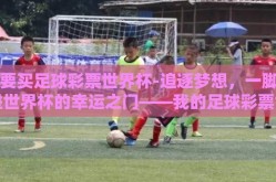 我要买足球彩票世界杯-追逐梦想，一脚踢进世界杯的幸运之门——我的足球彩票世界杯之旅