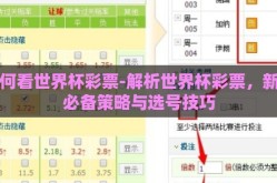 如何看世界杯彩票-解析世界杯彩票，新手必备策略与选号技巧