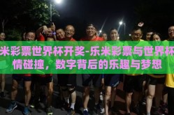 乐米彩票世界杯开奖-乐米彩票与世界杯激情碰撞，数字背后的乐趣与梦想