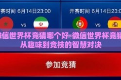 微信世界杯竞猜哪个好-微信世界杯竞猜，从趣味到竞技的智慧对决