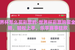 世界杯怎么买彩票的-世界杯彩票购买全攻略，轻松上手，乐享赛事狂欢
