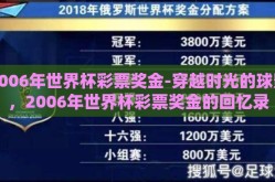 2006年世界杯彩票奖金-穿越时光的球影，2006年世界杯彩票奖金的回忆录