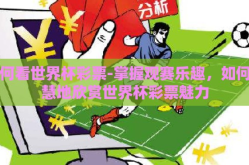 如何看世界杯彩票-掌握观赛乐趣，如何智慧地欣赏世界杯彩票魅力