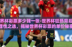 世界杯彩票多少钱一张-世界杯狂热背后的理性之选，揭秘世界杯彩票的单价秘密