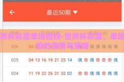 世界杯彩票单场倍投-世界杯彩票，单场倍投的激情与策略