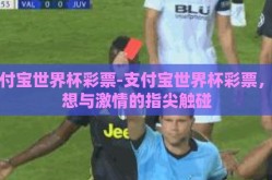 支付宝世界杯彩票-支付宝世界杯彩票，梦想与激情的指尖触碰