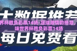 世界杯胜负彩票14场-足球激情的热潮，品味世界杯胜负彩票14场