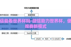 微信能看世界杯吗-微信助力世界杯，便捷观赛新模式