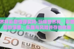 世界杯彩票值得买吗-玩味世界杯，彩票背后的深思，乐趣与风险并存的权衡