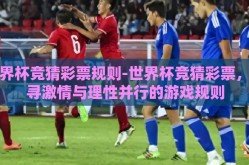 世界杯竞猜彩票规则-世界杯竞猜彩票，探寻激情与理性并行的游戏规则