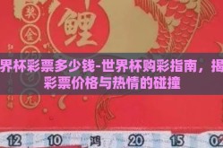 世界杯彩票多少钱-世界杯购彩指南，揭秘彩票价格与热情的碰撞