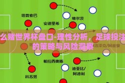 怎么赌世界杯盘口-理性分析，足球投注中的策略与风险洞察